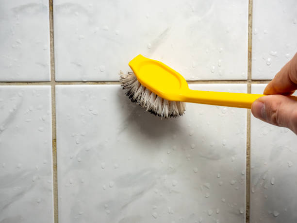 Best Local Mold Removal Service  in Chase City, VA