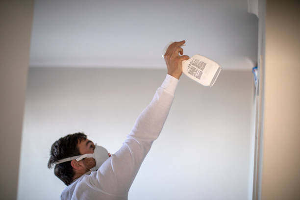 Best Mold Remediation Services  in Chase City, VA