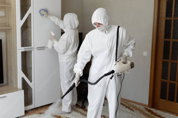 Best Mold Testing  in Chase City, VA