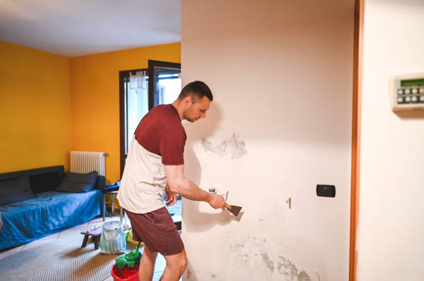 Best Commercial Mold Removal  in Chase City, VA