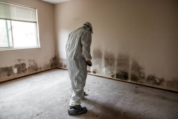 Water Damage Restoration in Chase City, VA