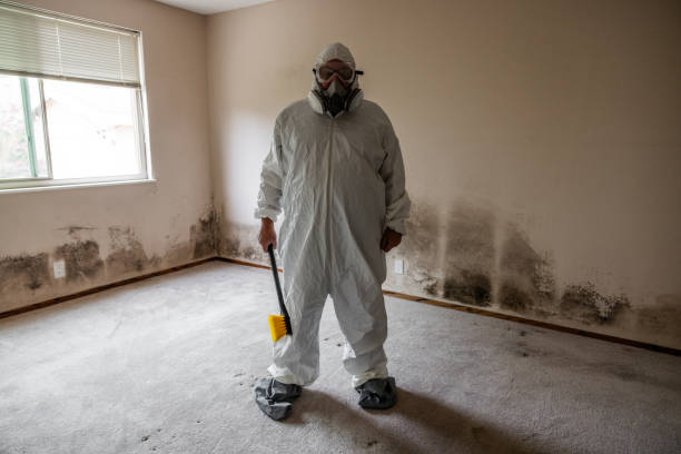 Best Emergency Mold Removal  in Chase City, VA